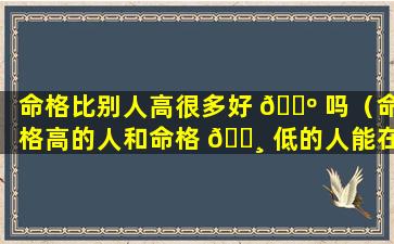 命格比别人高很多好 🐺 吗（命格高的人和命格 🌸 低的人能在一起吗）